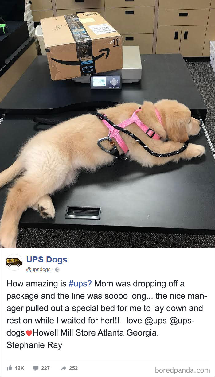 UPS Drivers Capture The Most Interesting Photos On Their Routes, And We Can’t Get Enough UPS Drivers Capture The Most Interesting Photos On Their Routes, And We Can’t Get Enough