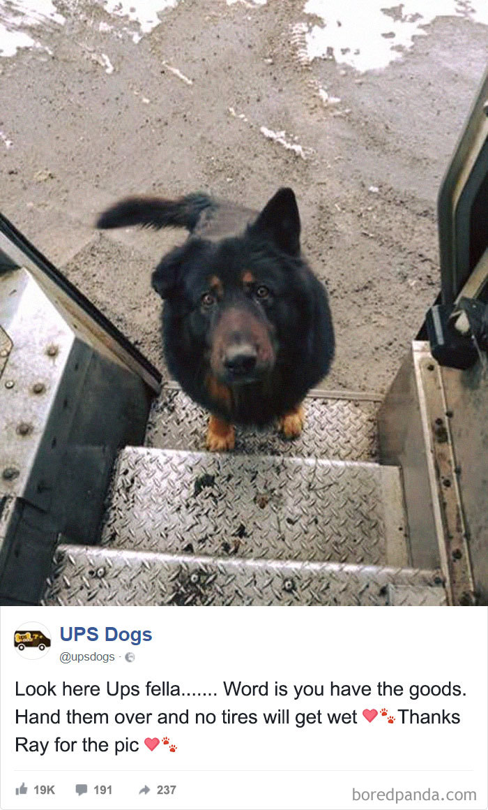 UPS Drivers Capture The Most Interesting Photos On Their Routes, And We Can’t Get Enough UPS Drivers Capture The Most Interesting Photos On Their Routes, And We Can’t Get Enough