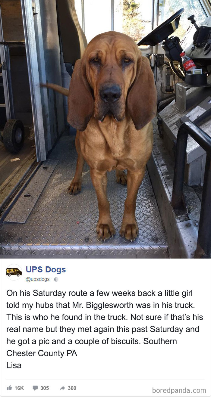 UPS Drivers Capture The Most Interesting Photos On Their Routes, And We Can’t Get Enough UPS Drivers Capture The Most Interesting Photos On Their Routes, And We Can’t Get Enough