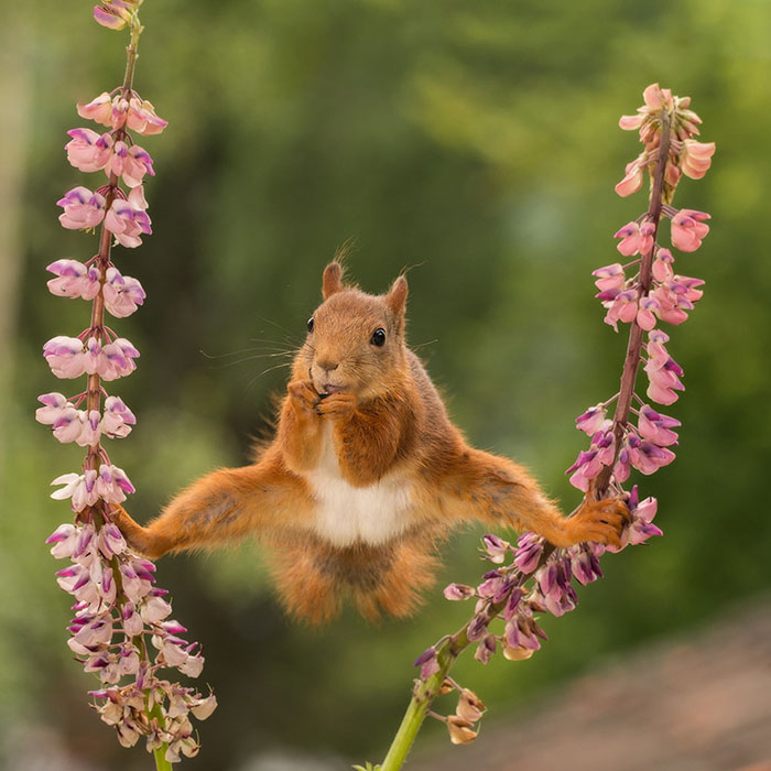 22 Of The Best Entries For The Comedy Wildlife Photo Awards 2018