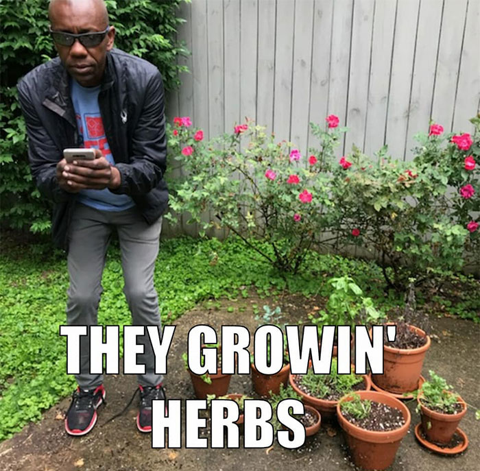 Comedian Destroys White Woman Who Called Cops On Black Folks Having A BBQ With 25 Hilarious Memes