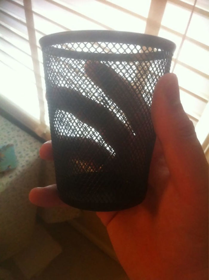 50 Hilarious Times Parents Treated Their Adult Kids As If They Were Children 50 Hilarious Times Parents Treated Their Adult Kids As If They Were Children