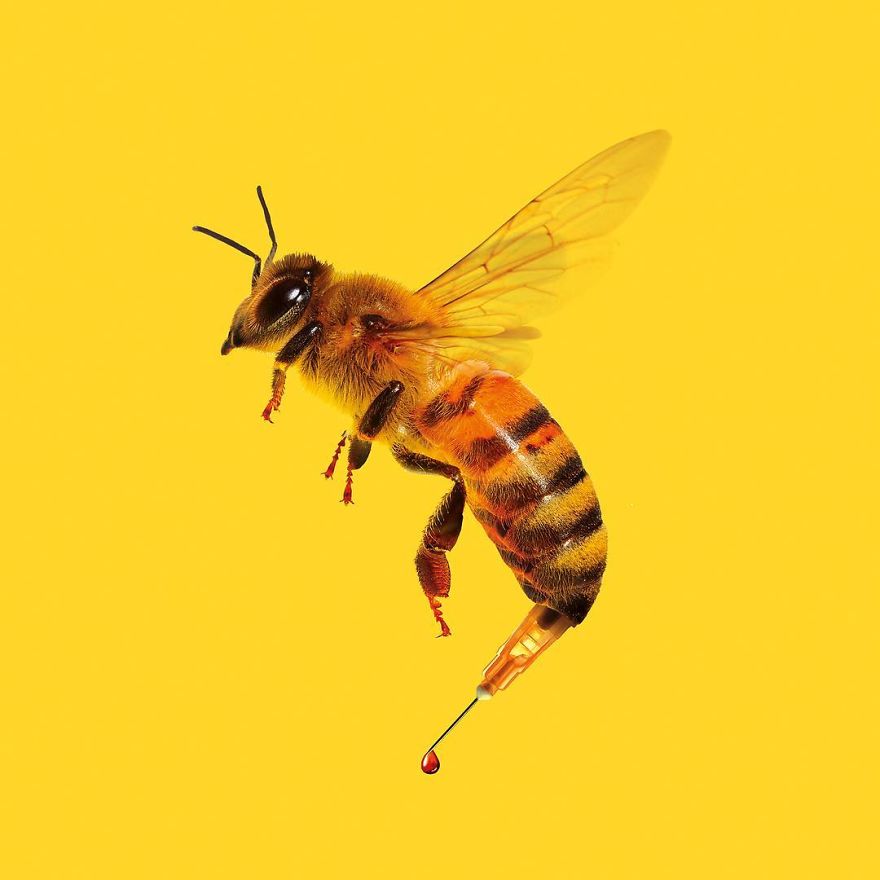 Artist Makes Incredible Manipulations That Will Surely Mess With Your Head