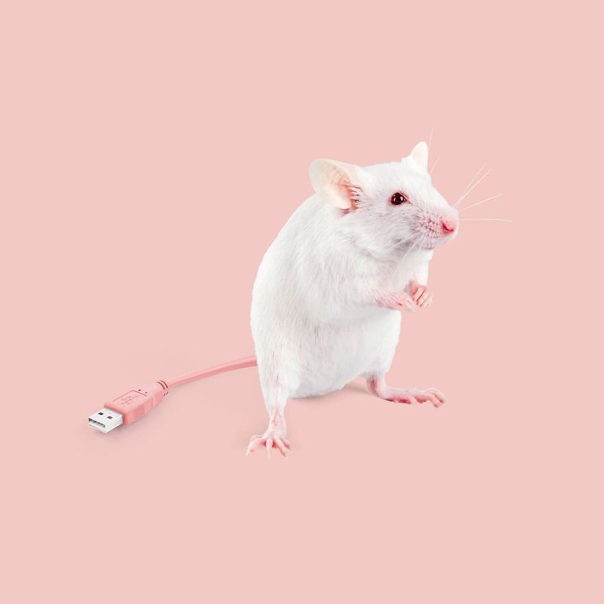 Artist Makes Incredible Manipulations That Will Surely Mess With Your Head