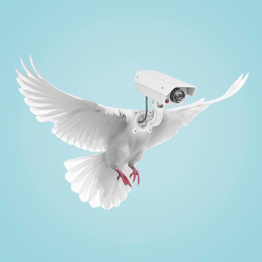 Artist Makes Incredible Manipulations That Will Surely Mess With Your Head