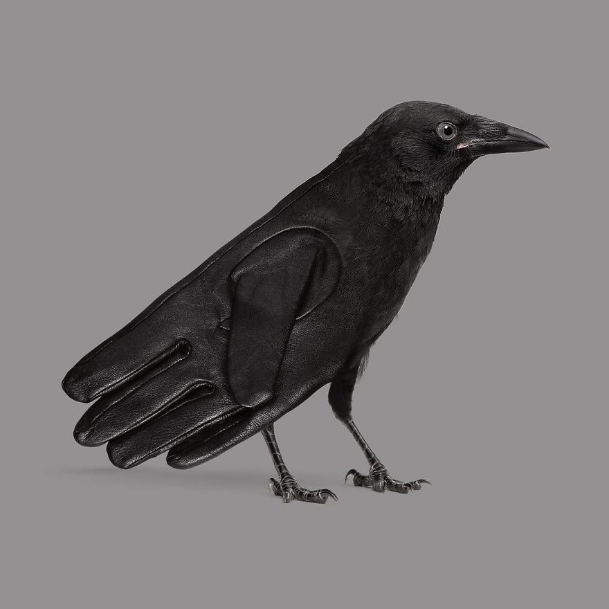 Artist Makes Incredible Manipulations That Will Surely Mess With Your Head