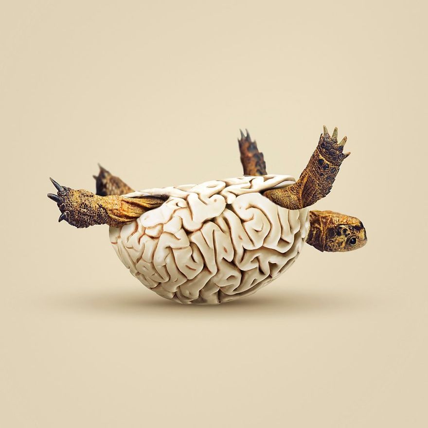 Artist Makes Incredible Manipulations That Will Surely Mess With Your Head