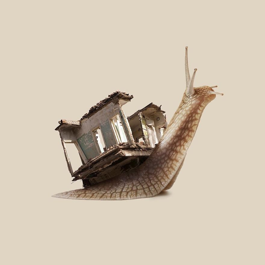 Artist Makes Incredible Manipulations That Will Surely Mess With Your Head