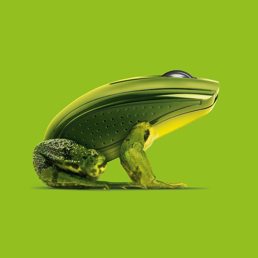 Artist Makes Incredible Manipulations That Will Surely Mess With Your Head