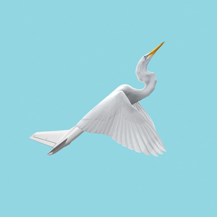 Artist Makes Incredible Manipulations That Will Surely Mess With Your Head