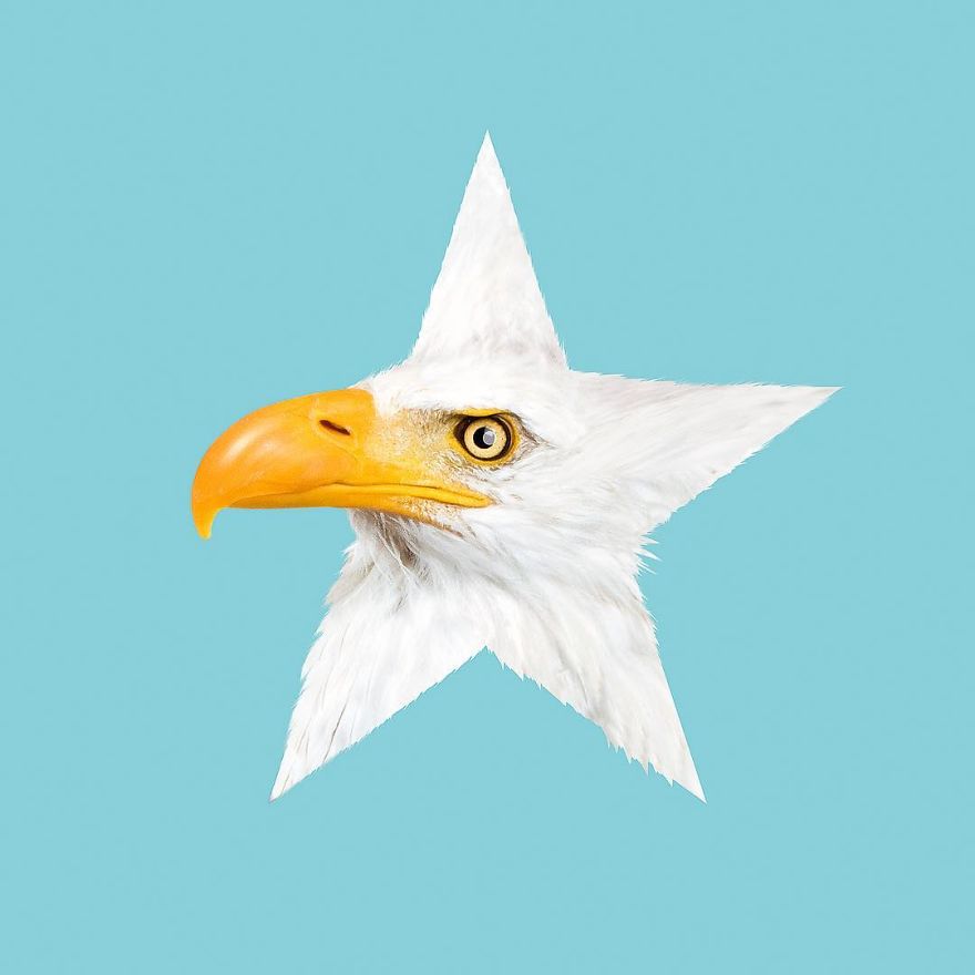 Artist Makes Incredible Manipulations That Will Surely Mess With Your Head