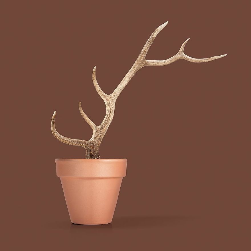 Artist Makes Incredible Manipulations That Will Surely Mess With Your Head