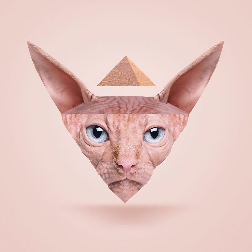 Artist Makes Incredible Manipulations That Will Surely Mess With Your Head