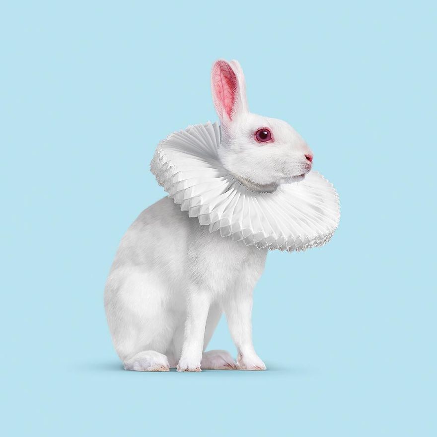 Artist Makes Incredible Manipulations That Will Surely Mess With Your Head