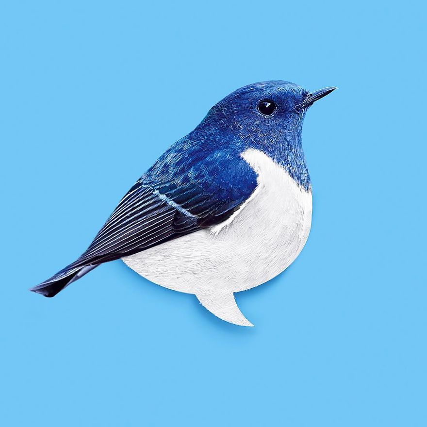 Artist Makes Incredible Manipulations That Will Surely Mess With Your Head