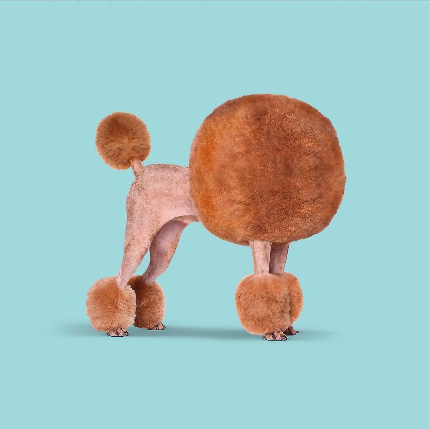 Artist Makes Incredible Manipulations That Will Surely Mess With Your Head