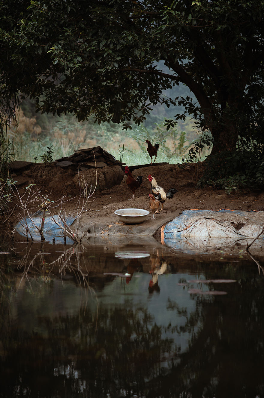 I Photographed Beautiful Vietnam