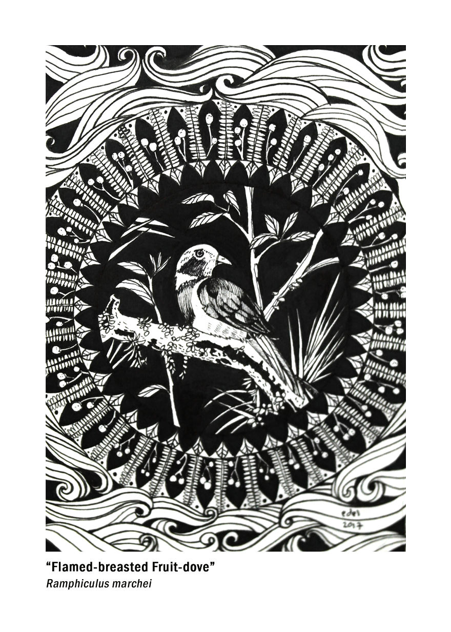 I Use Mandala Inspired Artworks To Promote Birds In The Philippines I Use Mandala Inspired Artworks To Promote Birds In The Philippines