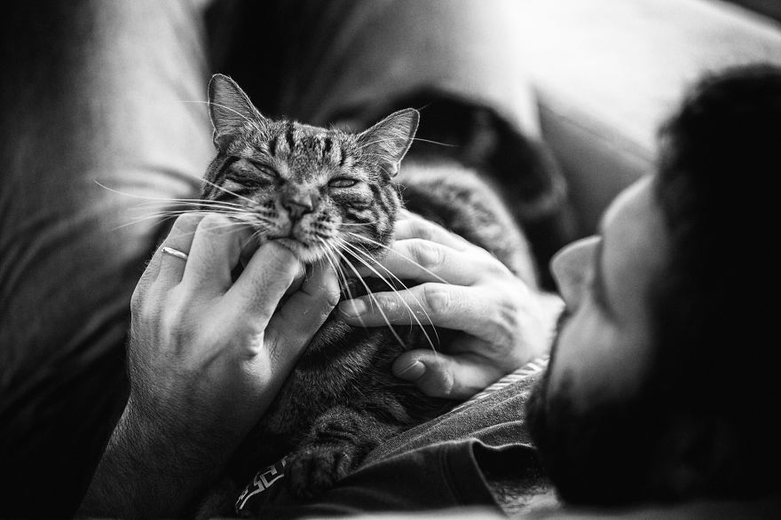 I Photograph Men With Their Cats And The Result Is Cuteness Overload!