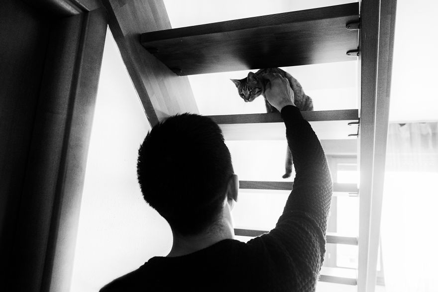 I Photograph Men With Their Cats And The Result Is Cuteness Overload!