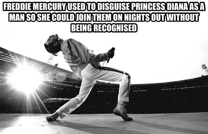 37 Facts About Freddie Mercury Most People Don’t Know 37 Facts About Freddie Mercury Most People Don’t Know