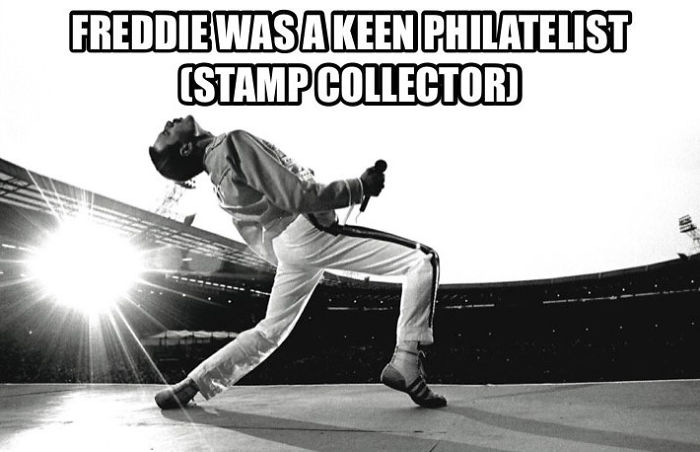 37 Facts About Freddie Mercury Most People Don’t Know 37 Facts About Freddie Mercury Most People Don’t Know