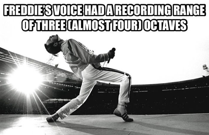 37 Facts About Freddie Mercury Most People Don’t Know 37 Facts About Freddie Mercury Most People Don’t Know