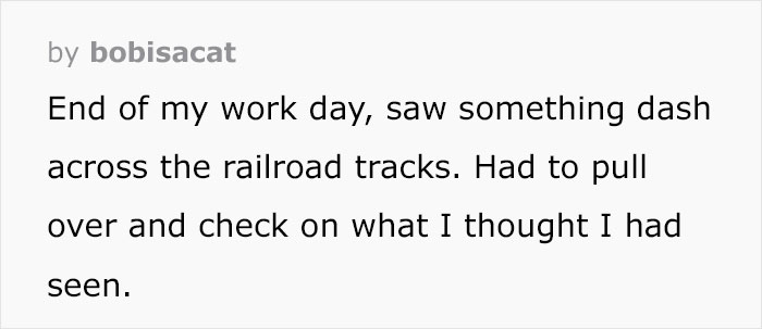 “If You Think You See Something Wrong, Trust Your Instincts” “If You Think You See Something Wrong, Trust Your Instincts”