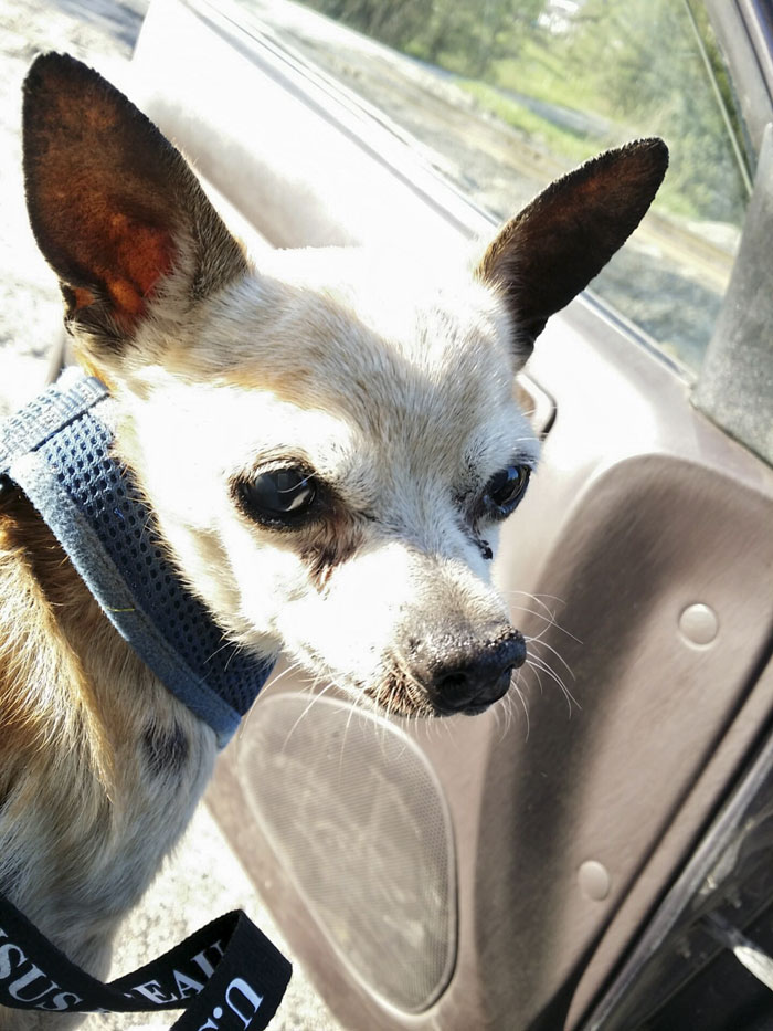 “If You Think You See Something Wrong, Trust Your Instincts” “If You Think You See Something Wrong, Trust Your Instincts”