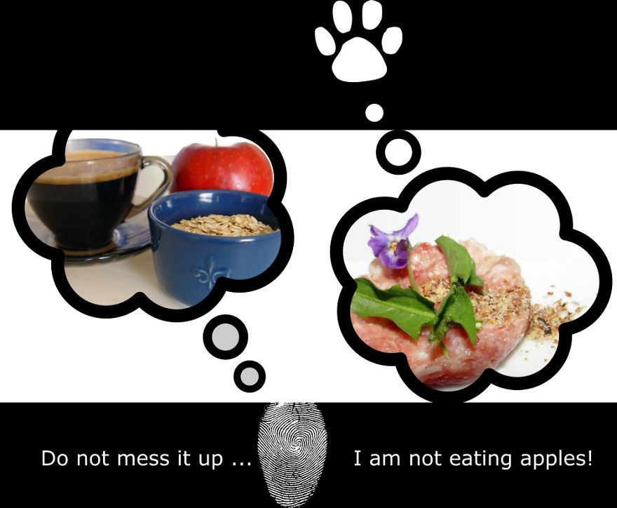 My Cat Is More Famous Than Me My Cat Is More Famous Than Me