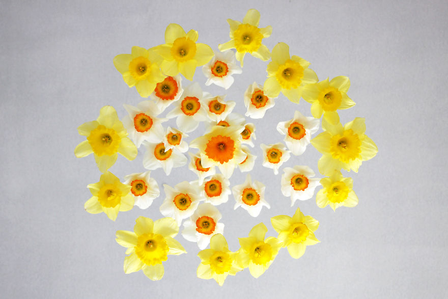 I Created Ephemeral Spring Floral Installations In A French Village