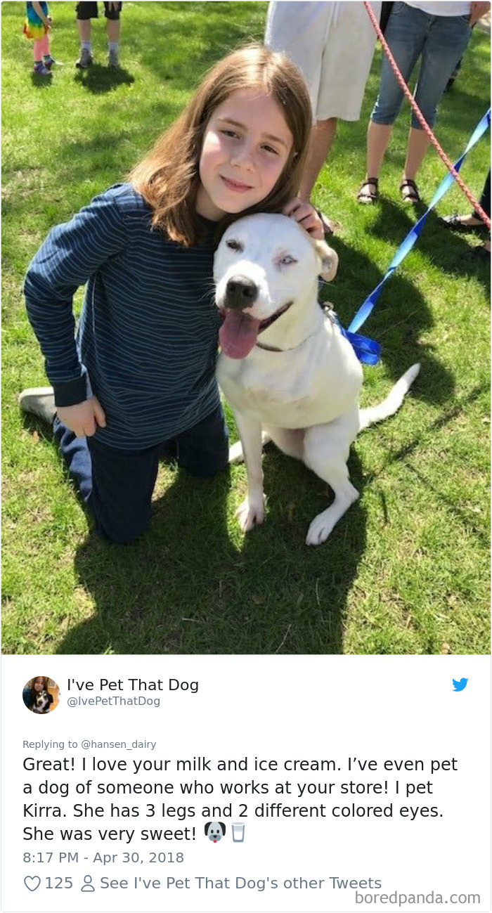 The Internet Is Obsessed With This 9-Year-Old’s Twitter Account Where He Reviews All The Dogs That He’s Petted The Internet Is Obsessed With This 9-Year-Old’s Twitter Account Where He Reviews All The Dogs That He’s Petted