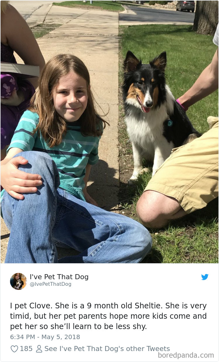 The Internet Is Obsessed With This 9-Year-Old’s Twitter Account Where He Reviews All The Dogs That He’s Petted The Internet Is Obsessed With This 9-Year-Old’s Twitter Account Where He Reviews All The Dogs That He’s Petted