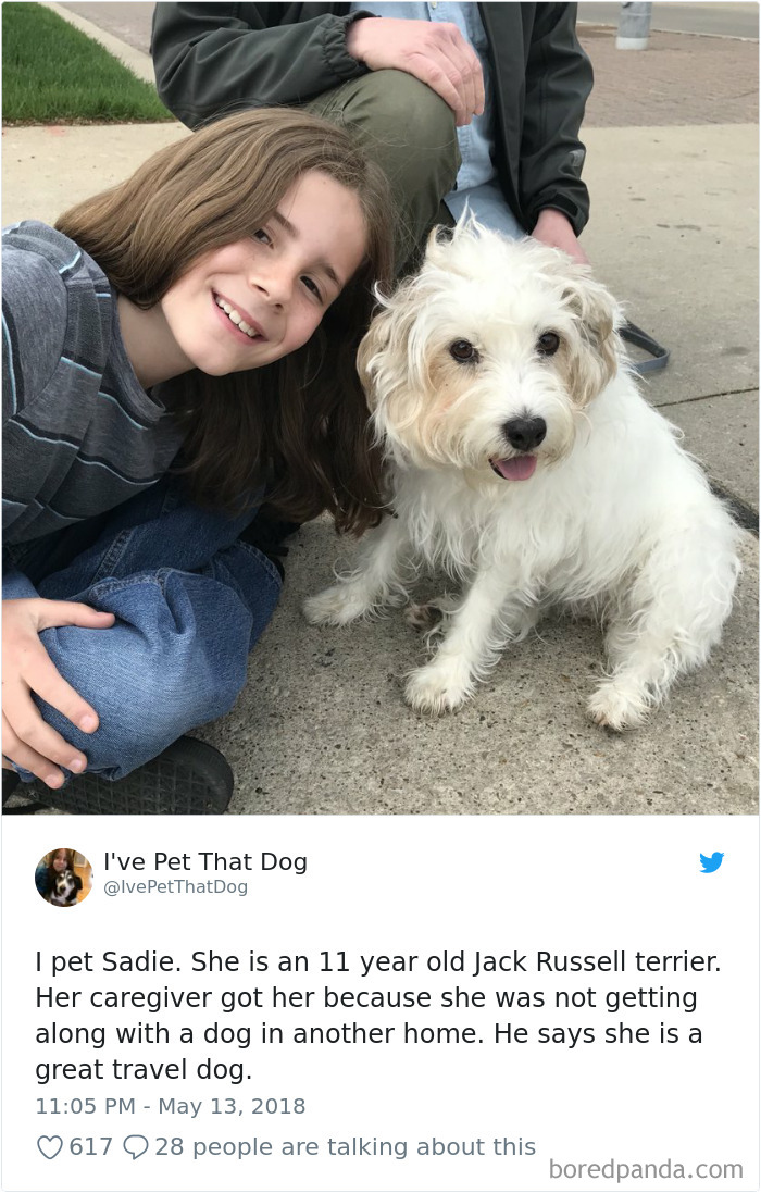 The Internet Is Obsessed With This 9-Year-Old’s Twitter Account Where He Reviews All The Dogs That He’s Petted The Internet Is Obsessed With This 9-Year-Old’s Twitter Account Where He Reviews All The Dogs That He’s Petted