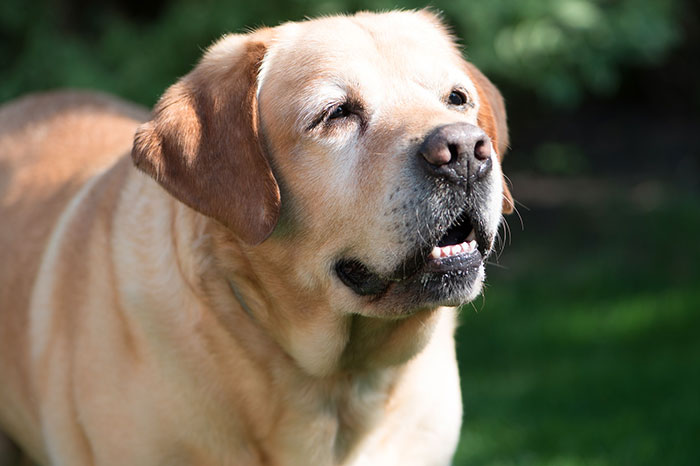 This Person Responded To A Writing Challenge, And Wrote A Story That Had Everyone Crying