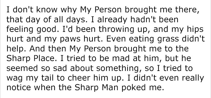 This Person Responded To A Writing Challenge, And Wrote A Story That Had Everyone Crying