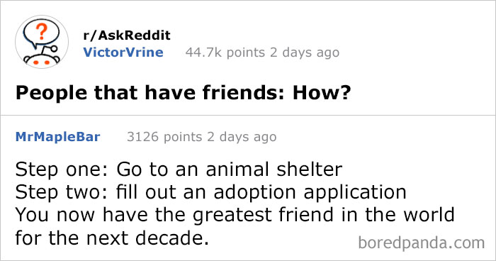 50 Times People Had The Best Answers To Questions On Reddit
