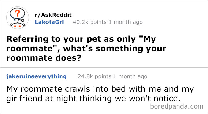 50 Times People Had The Best Answers To Questions On Reddit