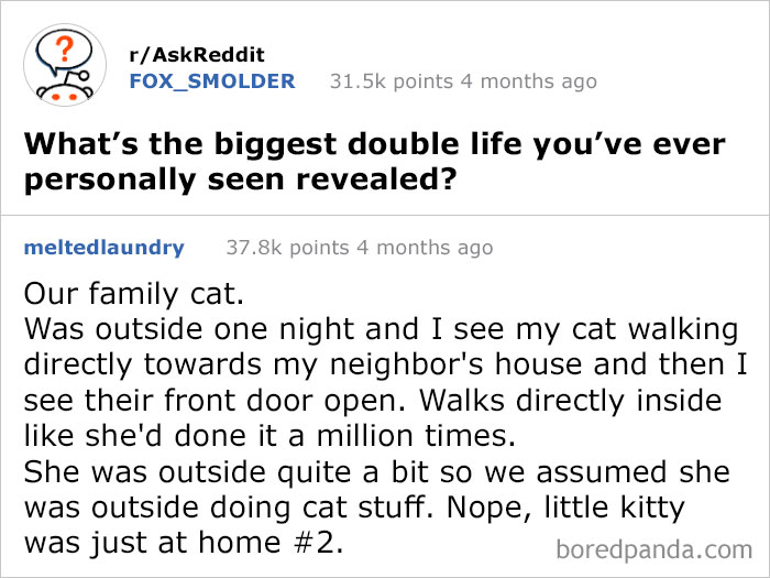 50 Times People Had The Best Answers To Questions On Reddit