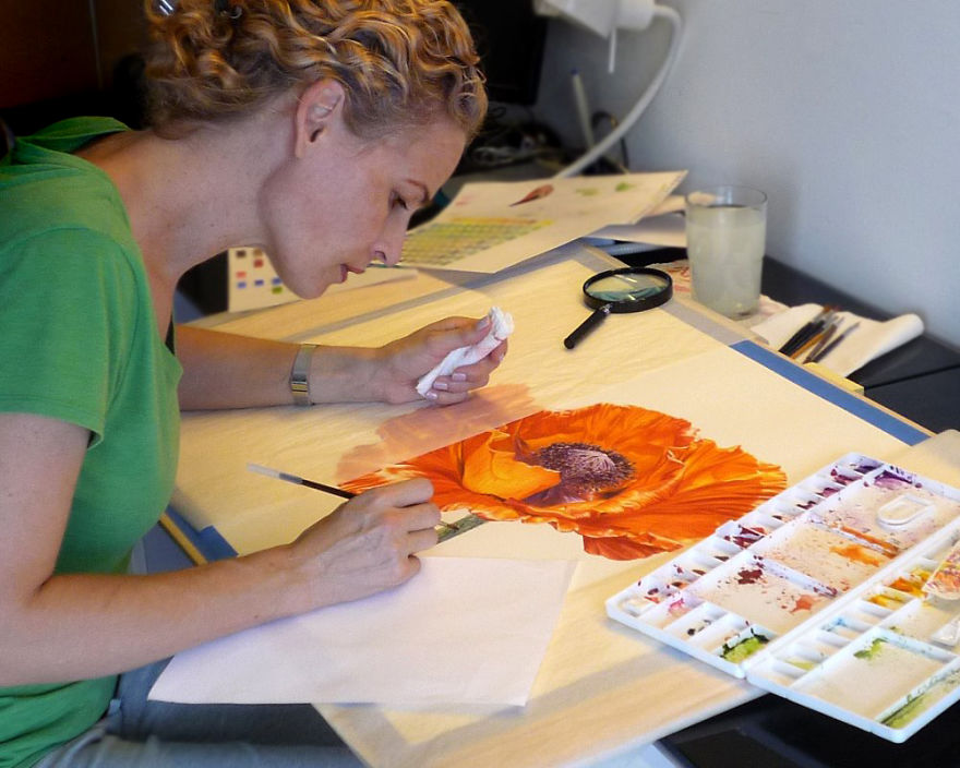 I Painted A Poppy Flower From Birth To Death In Watercolor I Painted A Poppy Flower From Birth To Death In Watercolor