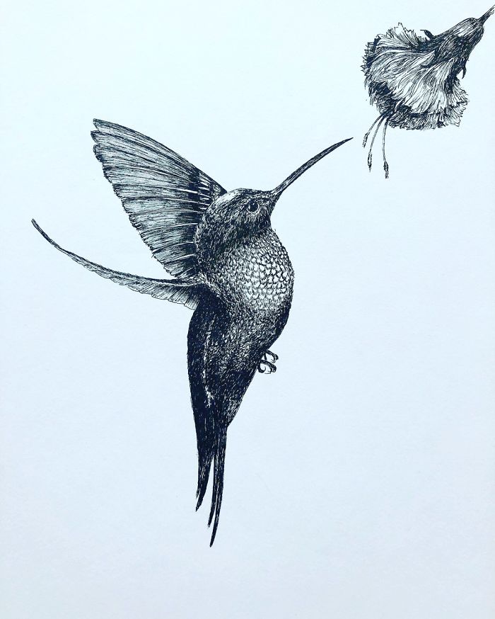 I Create Pen And Ink Drawings