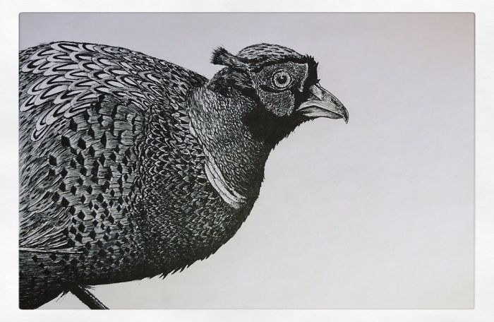 I Create Pen And Ink Drawings