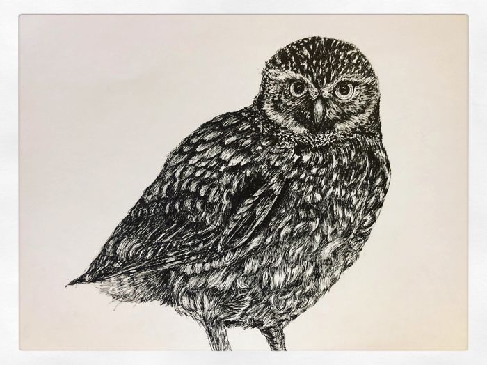 I Create Pen And Ink Drawings