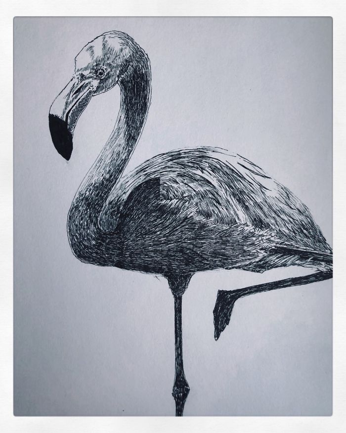 I Create Pen And Ink Drawings