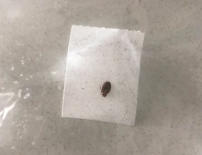 Woman Drinks 3 Glasses Of Wine At A Work Event, And Things Escalate So Wrong The Whole Internet Is Feeling Sorry For Her