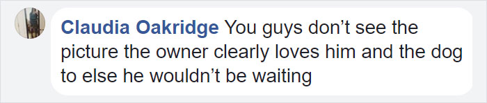 This Dog Spends 12 Hours Every Day Looking Towards The Station, Proves We Do Not Deserve Dogs