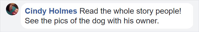 This Dog Spends 12 Hours Every Day Looking Towards The Station, Proves We Do Not Deserve Dogs