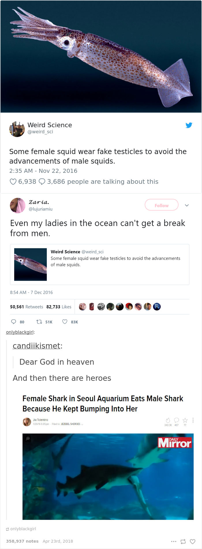 63 Hilarious Tumblr Feminists That Will Make Even The ‘Manliest’ Men Laugh 63 Hilarious Tumblr Feminists That Will Make Even The ‘Manliest’ Men Laugh