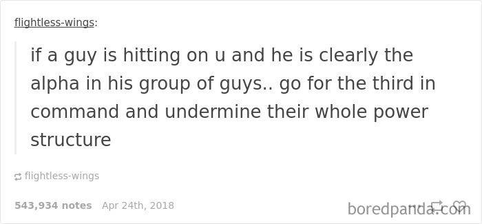 63 Hilarious Tumblr Feminists That Will Make Even The ‘Manliest’ Men Laugh 63 Hilarious Tumblr Feminists That Will Make Even The ‘Manliest’ Men Laugh