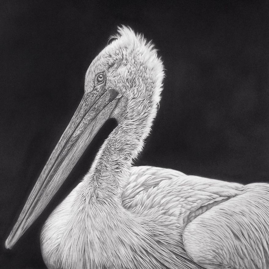 Artist Makes Hyper Realistic Drawings To The Point Where We See The Pores Of The Skin Artist Makes Hyper Realistic Drawings To The Point Where We See The Pores Of The Skin